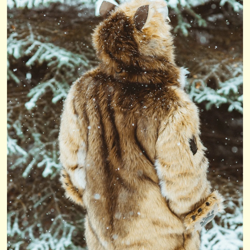 Wildcoat bear coat size medium - Picture 3 of 5